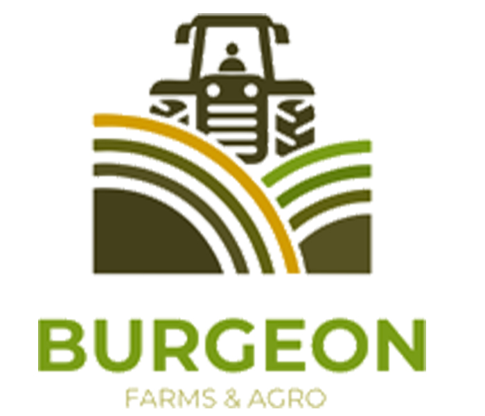 Burgeon